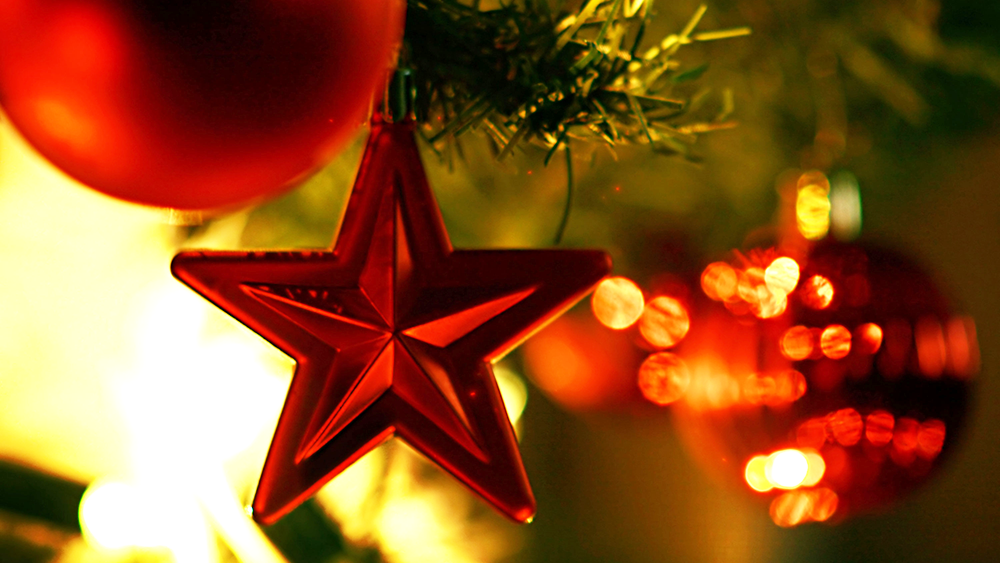 A close-up of a red star hanging on a festively decorated Christmas tree.