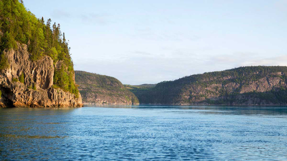 Vue du Fjord du Saguenay à bord d'un Zodiac