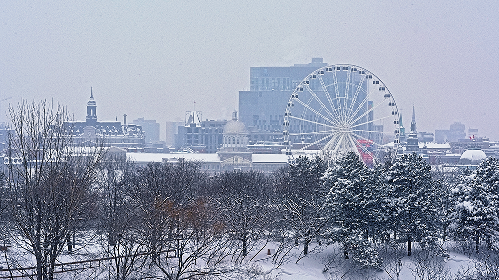 A view of snowy Montreal with the ferris wheel amidst snow-covered trees in the foreground and the city skyline in the background.