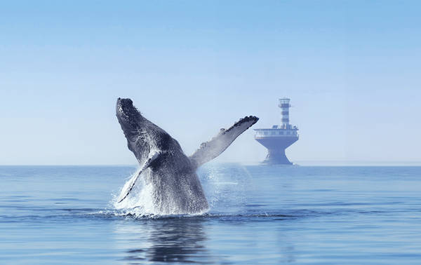 A whale breaches the ocean surface, with its tail and fins visible, creating splashes. In the background, a lighthouse stands on the water. The sky is clear, and the sea is calm.