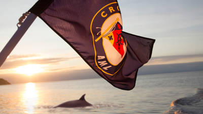 Whale at sunset