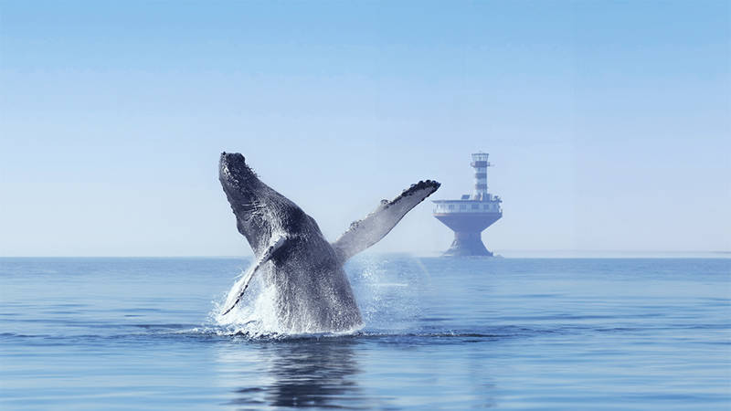 Une baleine émerge de la surface de l'océan, son corps partiellement hors de l'eau. En arrière-plan, un phare s'élève sur la mer, sous un ciel bleu clair.