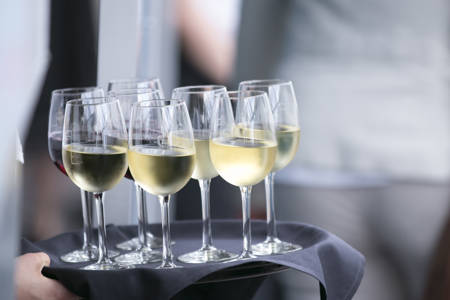 Vins