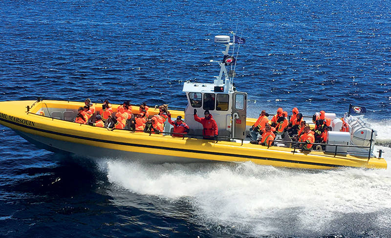 A yellow zodiac carrying passengers in orange safety vests speeds across calm blue waters, leaving a white trail behind. The sky is clear and bright.