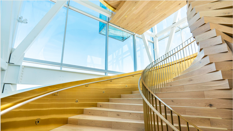 Un escalier moderne en bois à la courbe douce monte aux côtés de panneaux de verre, éclairé par la lumière naturelle dans le décor architectural contemporain de la Tour du Port de Montréal.