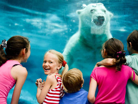 Zoo sauvage de Saint-Félicien