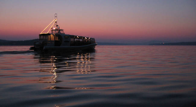 Croisière de soir