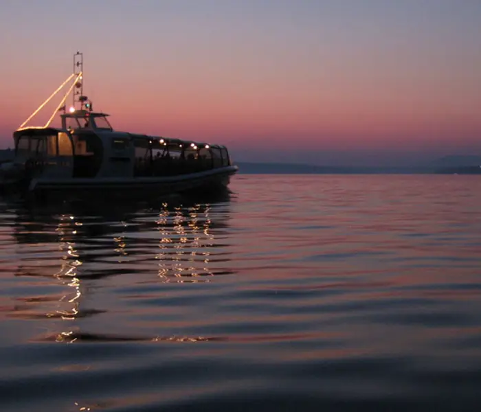 Croisière de soir