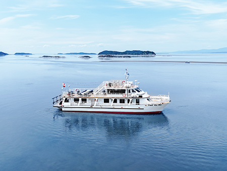 Le bateau "Vent des Îles" navigue tranquillement sur des eaux calmes entourées d'îles et d'une légère brume à l'horizon. Le ciel est dégagé et lumineux, créant une ambiance paisible.