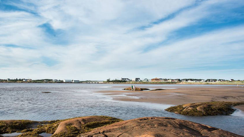  Portrait of the landscape in the Lower North Shore