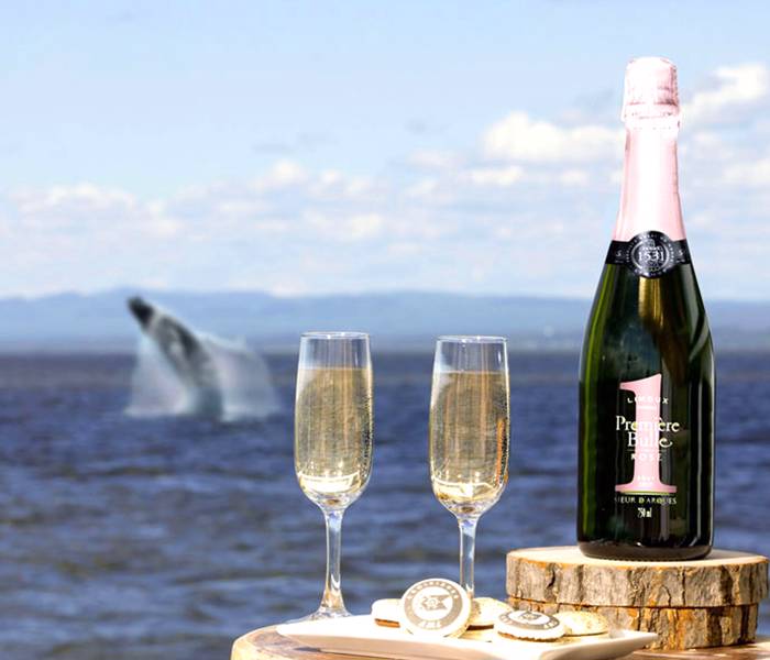 V.I.P. Bouteille de champagne et baleine