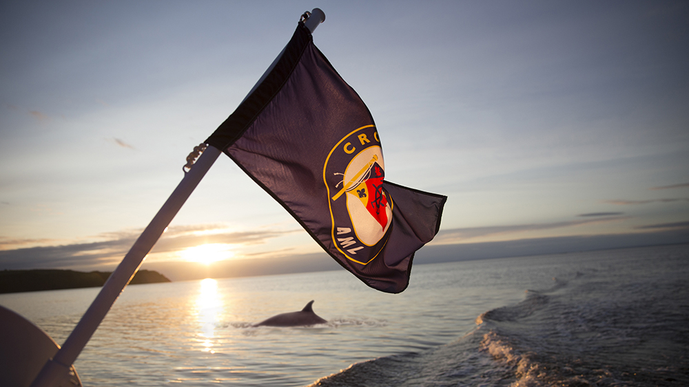Un drapeau flotte au vent sur un bateau au coucher du soleil, arborant un emblème bleu et jaune. Le bateau se trouve sur une étendue d'eau, où un dauphin nage à proximité. En arrière-plan, des collines silhouettées se découpent contre le ciel aux teintes chaudes du crépuscule.