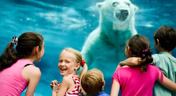 Zoo sauvage de Saint-Félicien