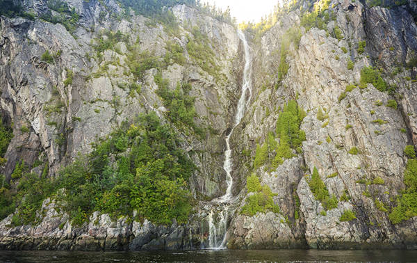 A tall waterfall cascades down a steep, rocky cliff surrounded by lush green vegetation. The water flows into a calm body of water at the base, with sunlight illuminating the top of the cliff.