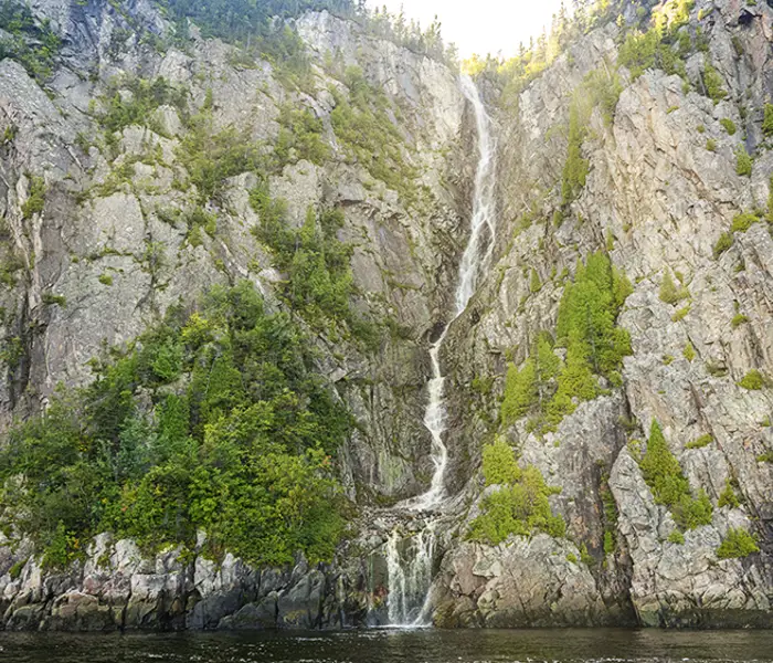 A tall waterfall cascades down a steep, rocky cliff surrounded by lush green vegetation. The water flows into a calm body of water at the base, with sunlight illuminating the top of the cliff.