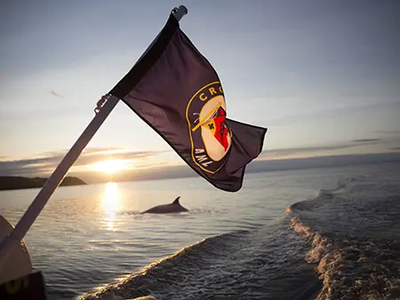Un drapeau flotte à l'arrière d'un bateau au coucher du soleil, avec une mer calme et la silhouette d'un marsouin émergeant de l'eau. Les vagues du sillage du bateau ajoutent une dynamique à la scène paisible.