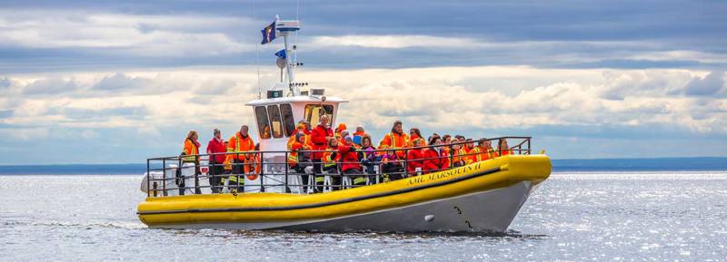 Zodiac Boat  AML Cruises