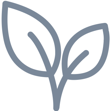 leaf icon representing eco-responsible boat tours