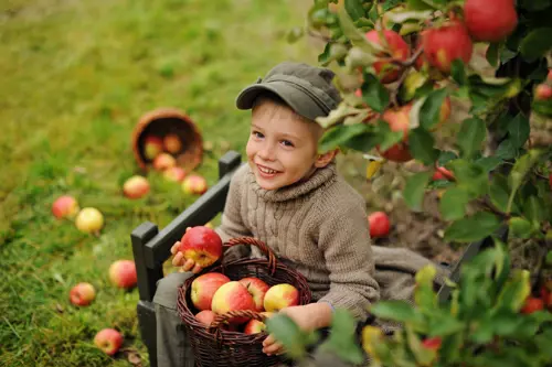 Pommes