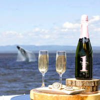 Verres de bulles avec saut de baleine en arrière plan