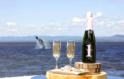 Verres de bulles avec saut de baleine en arrière plan