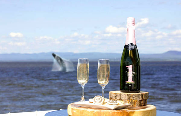  Glasses of champain with whale jumping in the background