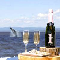  Glasses of champain with whale jumping in the background