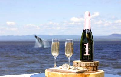  Glasses of champain with whale jumping in the background