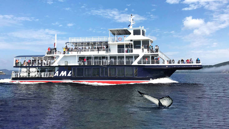 AML Grand Fleuve et queue de baleine qui sort de l'eau