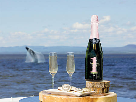 Une bouteille de vin mousseux et deux verres remplis reposent sur un plateau en bois près de l'océan. À proximité, des pâtisseries gourmandes sont disposées. En arrière-plan, une baleine jaillit de l'eau sous un ciel partiellement nuageux.