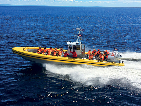 A yellow zodiac carrying passengers in orange safety vests speeds across calm blue waters, leaving a white trail behind. The sky is clear and bright.