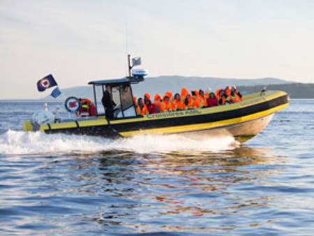 Zodiac 296 PDP