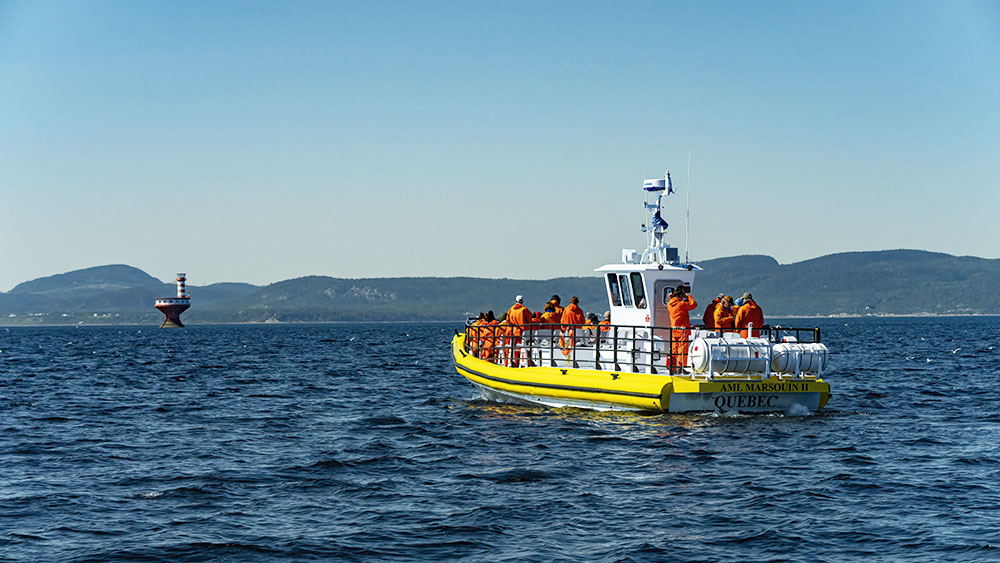 A yellow observation boat filled with passengers in life jackets sails on calm waters. In the background, a lighthouse and forested hills under a clear blue sky complete the scene.