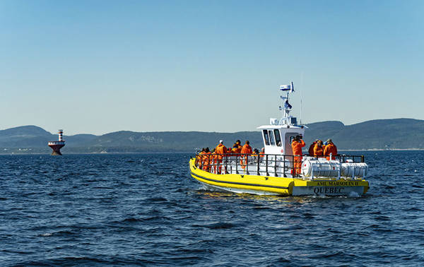 A yellow observation boat filled with passengers in life jackets sails on calm waters. In the background, a lighthouse and forested hills under a clear blue sky complete the scene.
