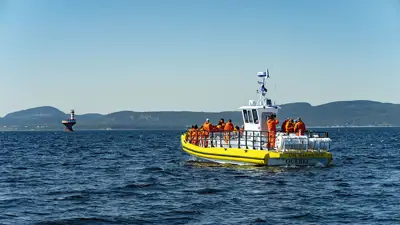 A yellow observation boat filled with passengers in life jackets sails on calm waters. In the background, a lighthouse and forested hills under a clear blue sky complete the scene.