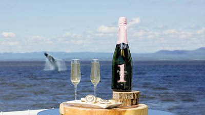 Une bouteille de vin mousseux et deux verres remplis reposent sur un plateau en bois près de l'océan. À proximité, des pâtisseries gourmandes sont disposées. En arrière-plan, une baleine jaillit de l'eau sous un ciel partiellement nuageux.