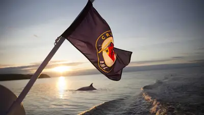 Un drapeau flotte à l'arrière d'un bateau au coucher du soleil, avec une mer calme et la silhouette d'un marsouin émergeant de l'eau. Les vagues du sillage du bateau ajoutent une dynamique à la scène paisible.
