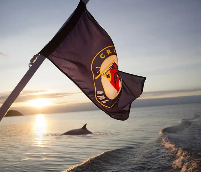 Un drapeau flotte à l'arrière d'un bateau au coucher du soleil, avec une mer calme et la silhouette d'un marsouin émergeant de l'eau. Les vagues du sillage du bateau ajoutent une dynamique à la scène paisible.