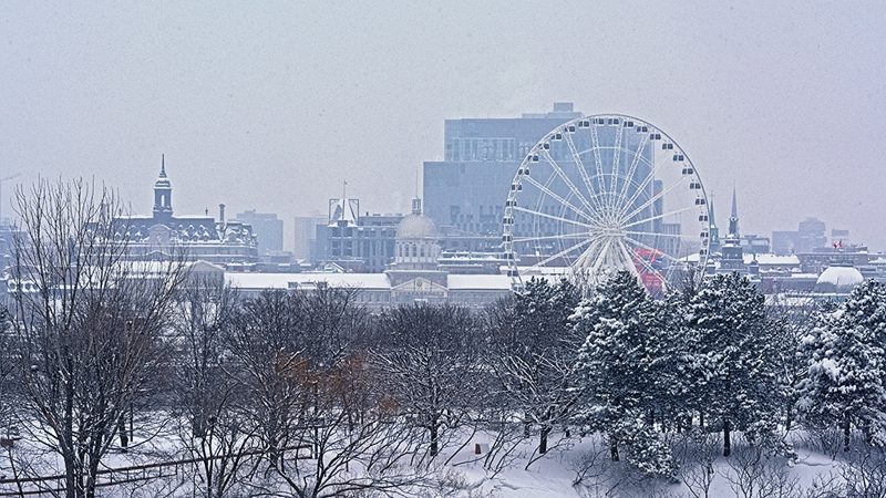 Une vue de Montréal enneigée avec la grande roue au milieu d'arbres enneigés au premier plan et la skyline de la ville en arrière plan.